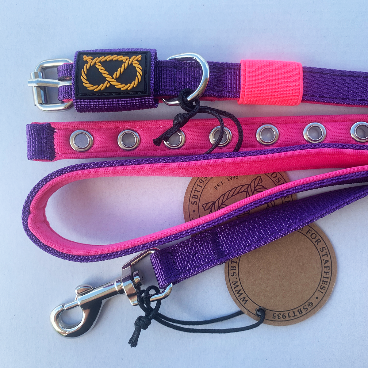 Puppy Nylon Collar & Leash Set - Purple & Neon Pink - Staffordshire Bull Terrier 1935