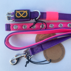 Puppy Nylon Collar & Leash Set - Purple & Neon Pink - Staffordshire Bull Terrier 1935
