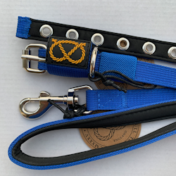 Puppy Nylon Collar & Leash Set - Royal Blue - Staffordshire Bull Terrier 1935