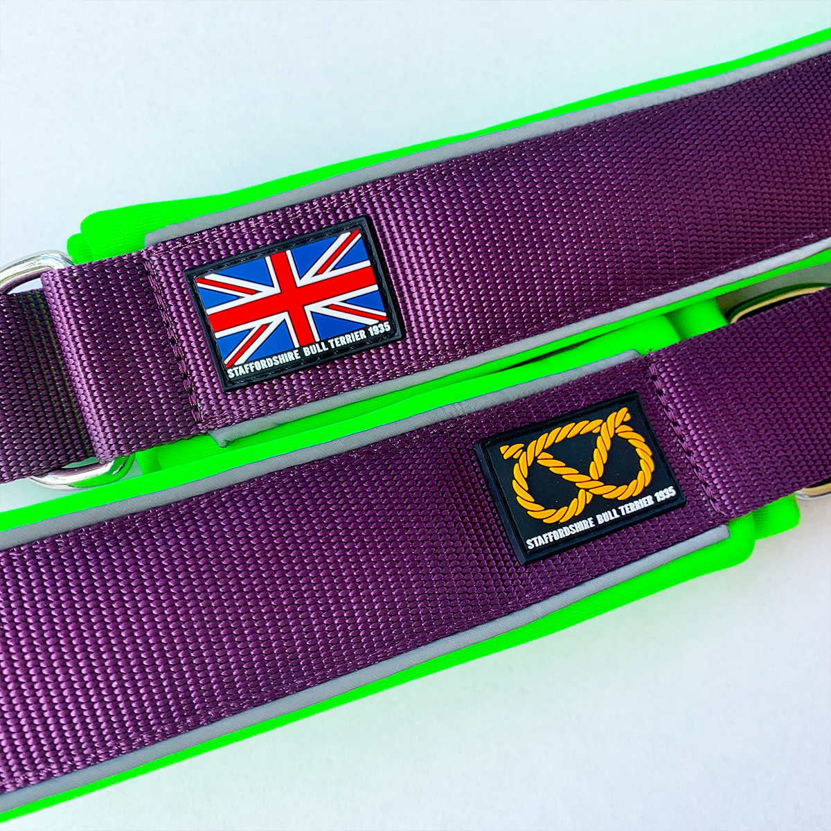 Martingale Collar - Joker Edition - Purple & Neon Green - Staffordshire Bull Terrier 1935