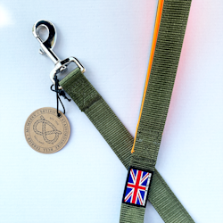 Nylon Leash - Stitch Edition - Green & Neon Orange - Normal - Staffordshire Bull Terrier 1935