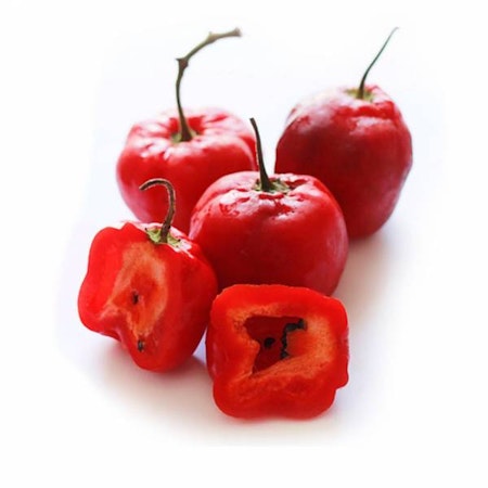 Rocoto congelado 500gr