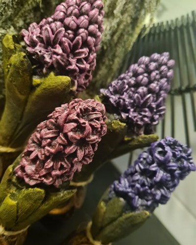 Hyacint med tags