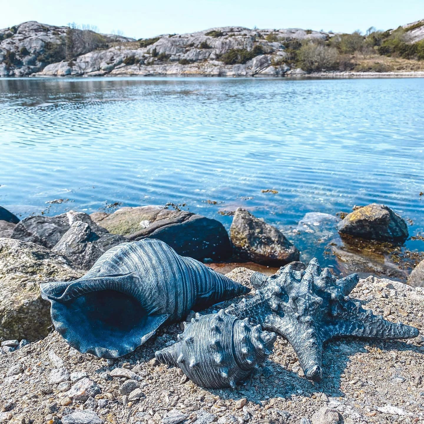 Sjöstjärna Stor