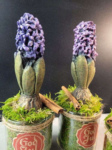 Hyacint i glas lila