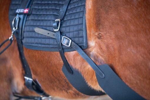 Eques Core training system.