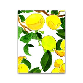 Nobhilldesigners litet kort Citroner