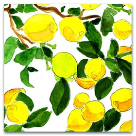 Nobhilldesigners kort med kuvert Citroner