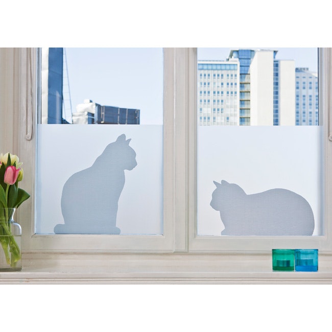Siluett Frost fönsterfilm Cats