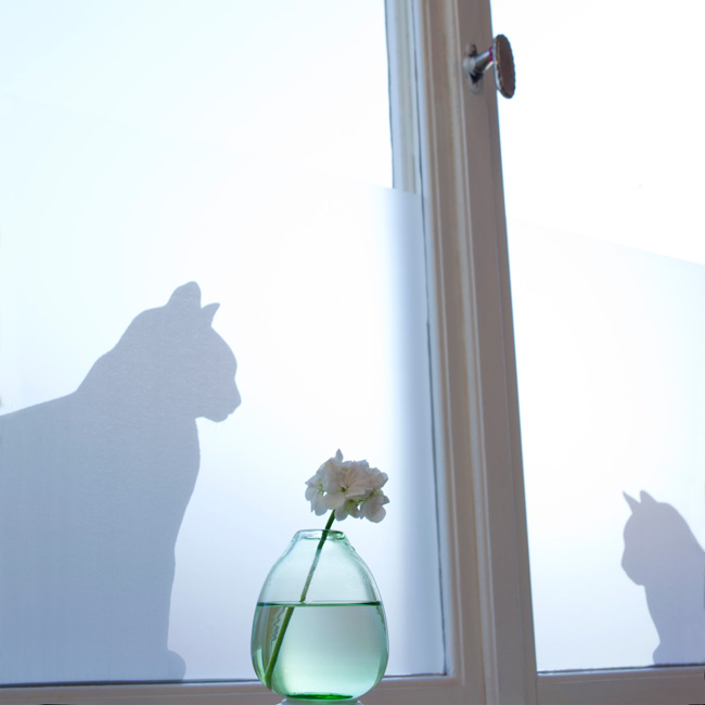 Siluett Frost fönsterfilm Cats