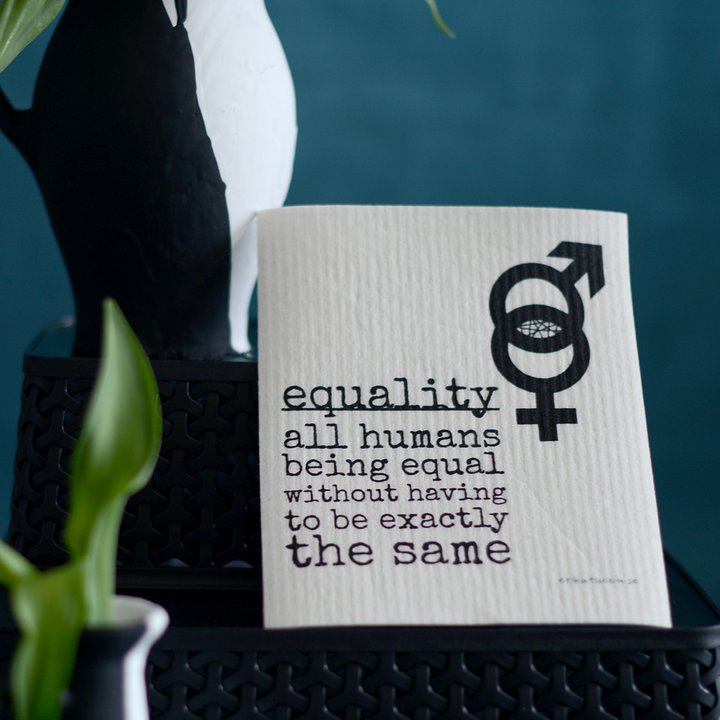 Erika Tubbin disktrasa "Equality"