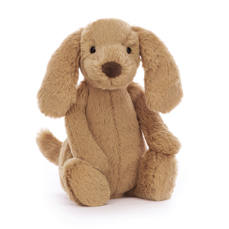 Jellycat Bashful Toffee Puppy