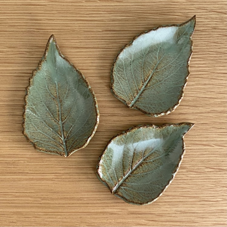 Bladfat palettblad grön med mörk kant