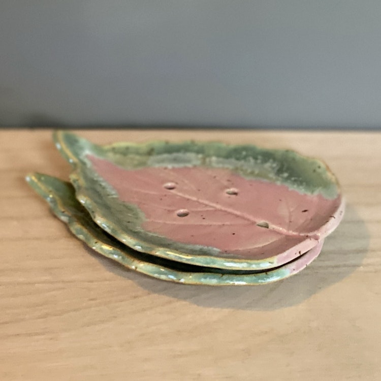 Palettblad tvålkopp grön/rosa