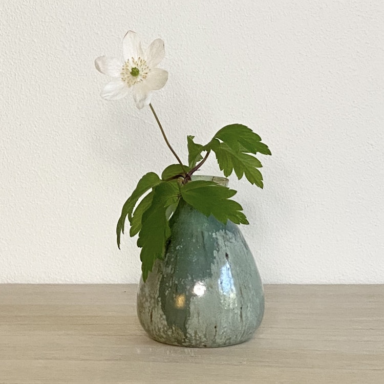 Minivas GRÖNSKA