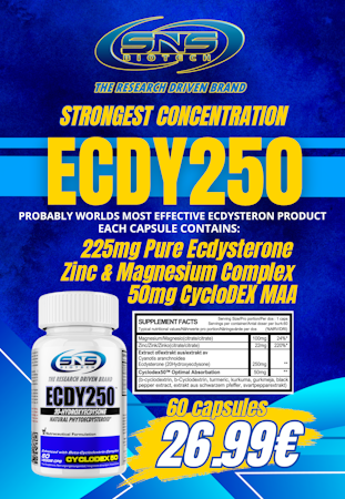 ECDY250