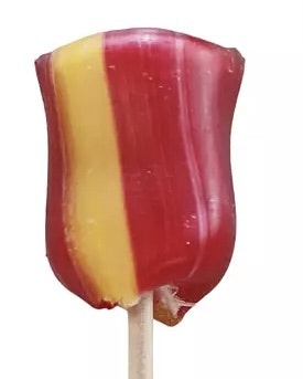 Choco Bako - Jordgubb/Fläderklubba, 24 g
