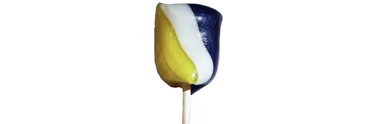 Choco Bako - Blåbär/Citronklubba, 24 g