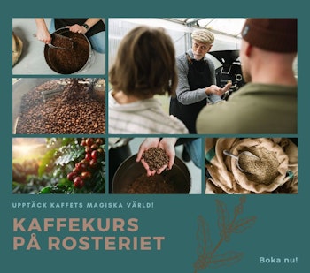 Coffee roasting course