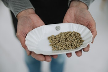 Coffee roasting course