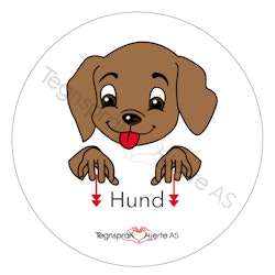 Hund