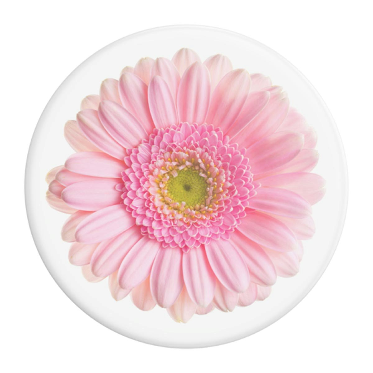 PopSockets Basic Grip Med Ställfunktion Gerber Daisy