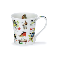 Mugg Benporslin Birdlife Robin (Jura) - Rymmer 2,1 dl