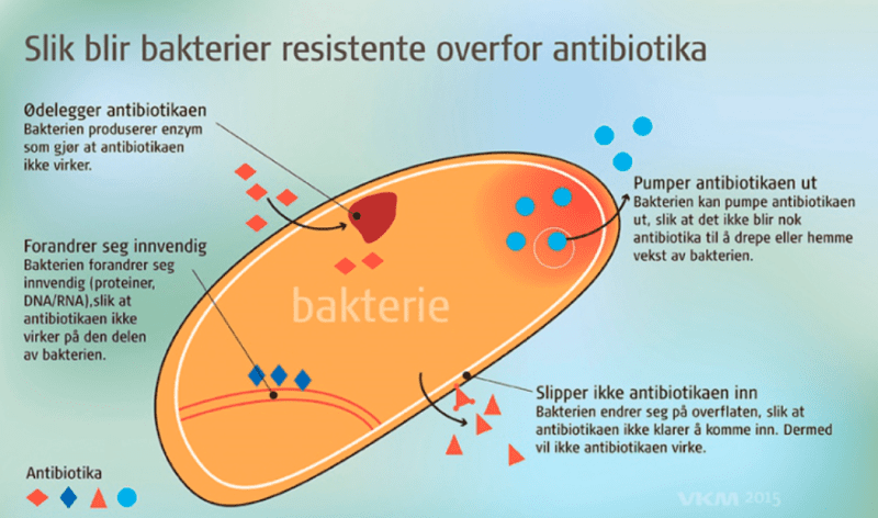 Antibiotikabruken øker