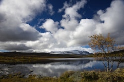 Budalen