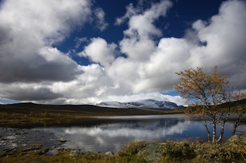 Budalen