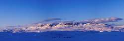Rosa panorama