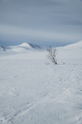 Ustaoset
