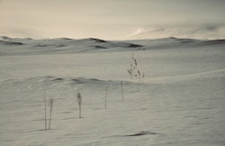 Skiløype Tuva