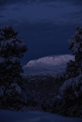 Morgentime fra Kikut
