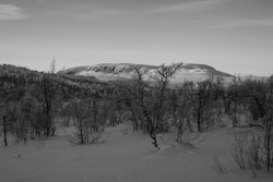 Hallingskarvet sett fra Grødalen