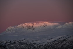 God morgen Kikut