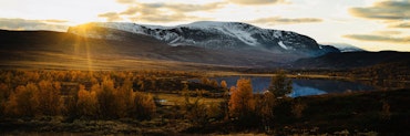 Høst motlys panorama