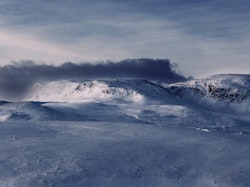 Skarvsenden