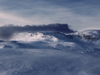Skarvsenden
