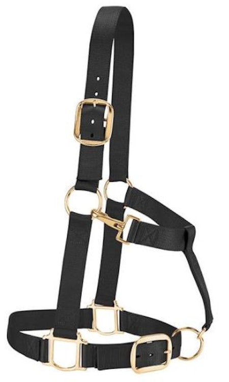 Original Adj Draft Horse Halter