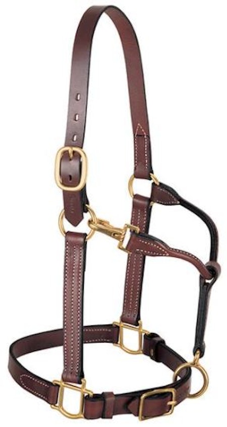 1"3-IN-1 ALL PUR HORSE HLTR,MH