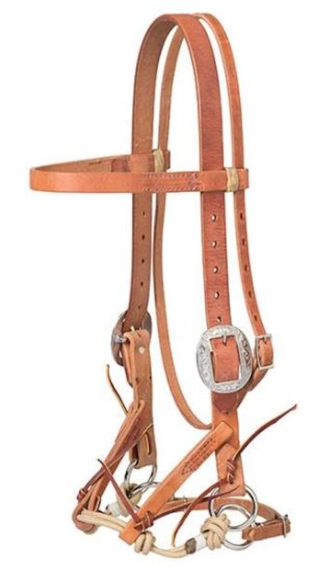 Justin Dunn Bitless Bridle