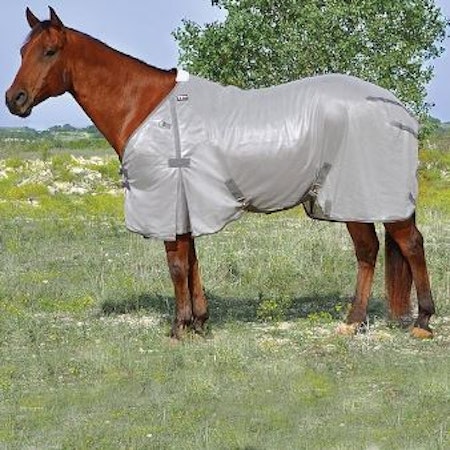 Economy Fly Sheet