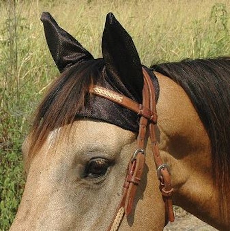 Comfort Ears