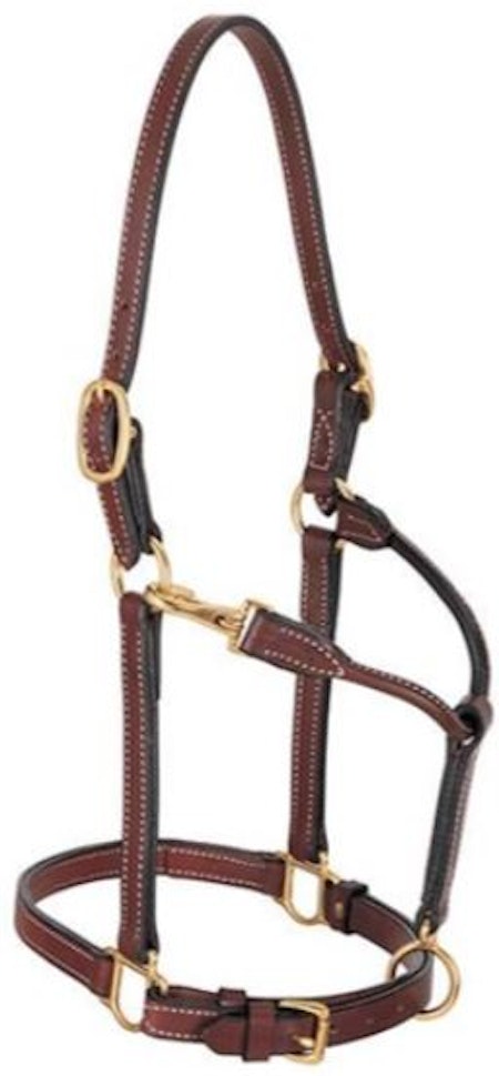 3/4" Double Buckle Crown Halter