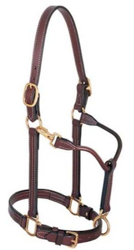 1" Track Halter