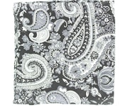 Wild Rag Paisley