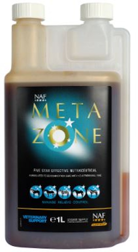 METAZONE, FLYTANDE