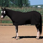 Equiskinz Sheet
