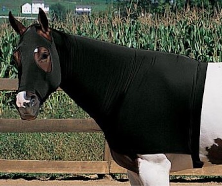 Equiskinz Hood
